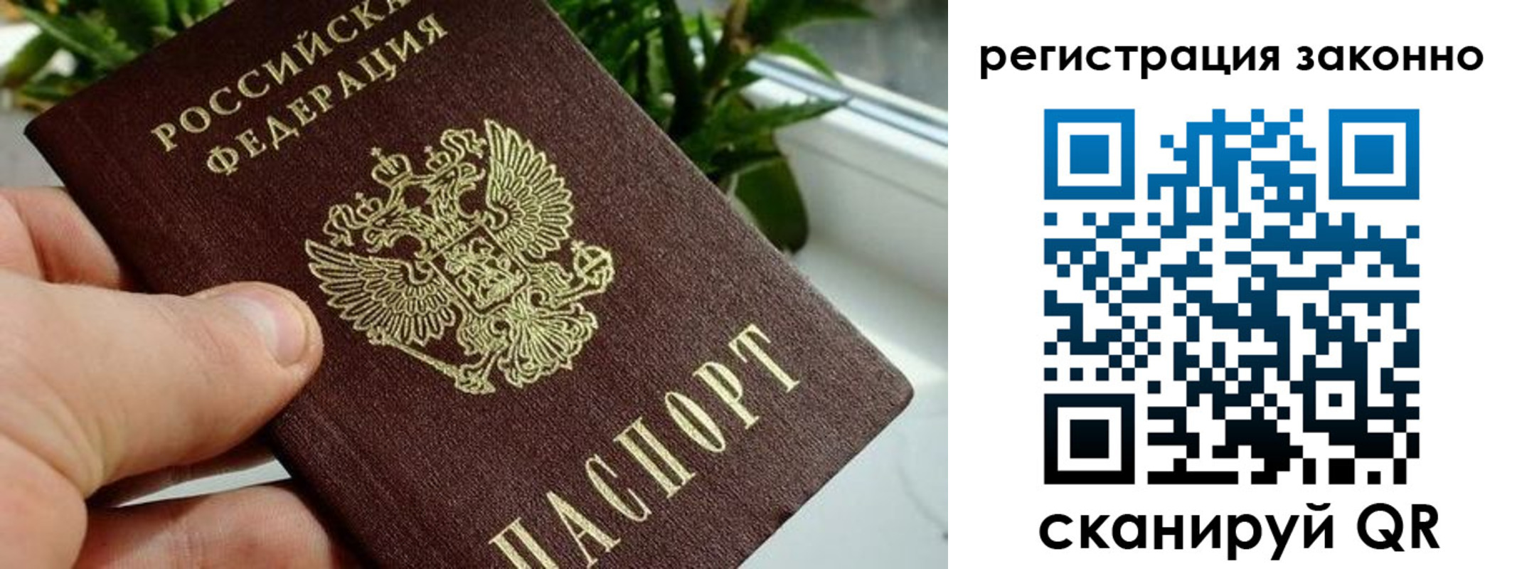 прописка гарантия в Заозёрном